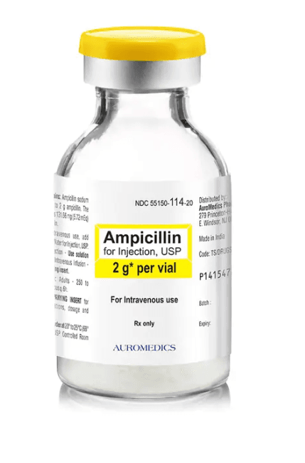 Ampicillin Sodium Injection