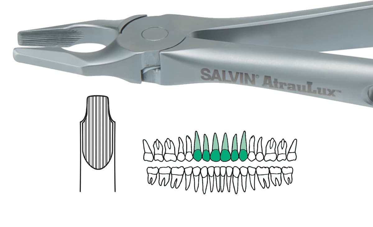 Salvin AtrauLux® Extraction Forcep #1 - Upper Anterior