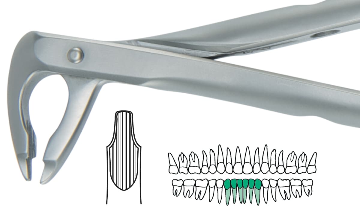Salvin AtrauLux® Extraction Forcep #2 - Lower Anterior