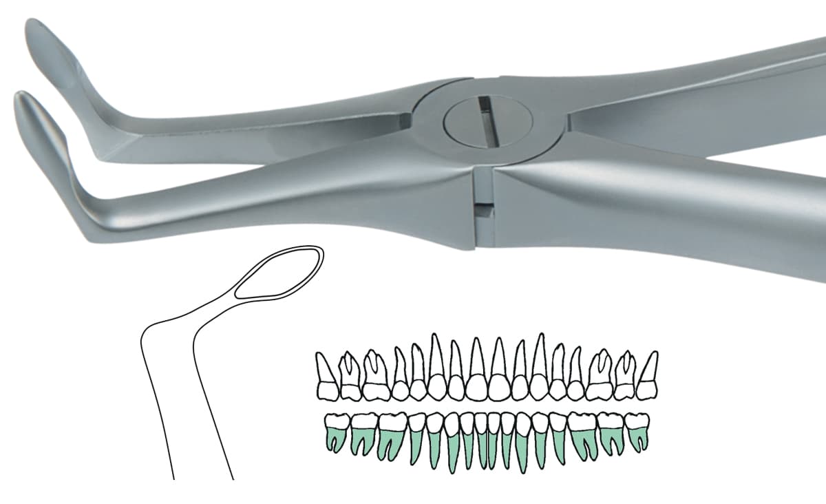 Salvin AtrauLux® Extraction Forcep #5 - Lower Root