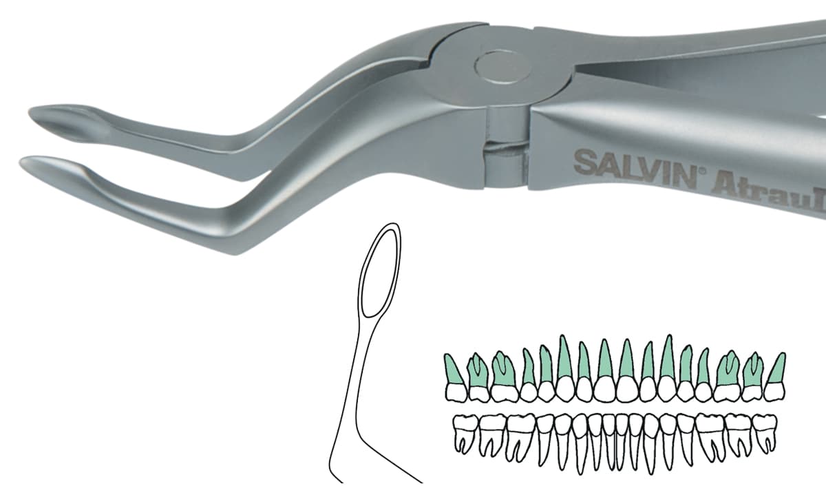 Salvin AtrauLux® Extraction Forcep #6 - Upper Root