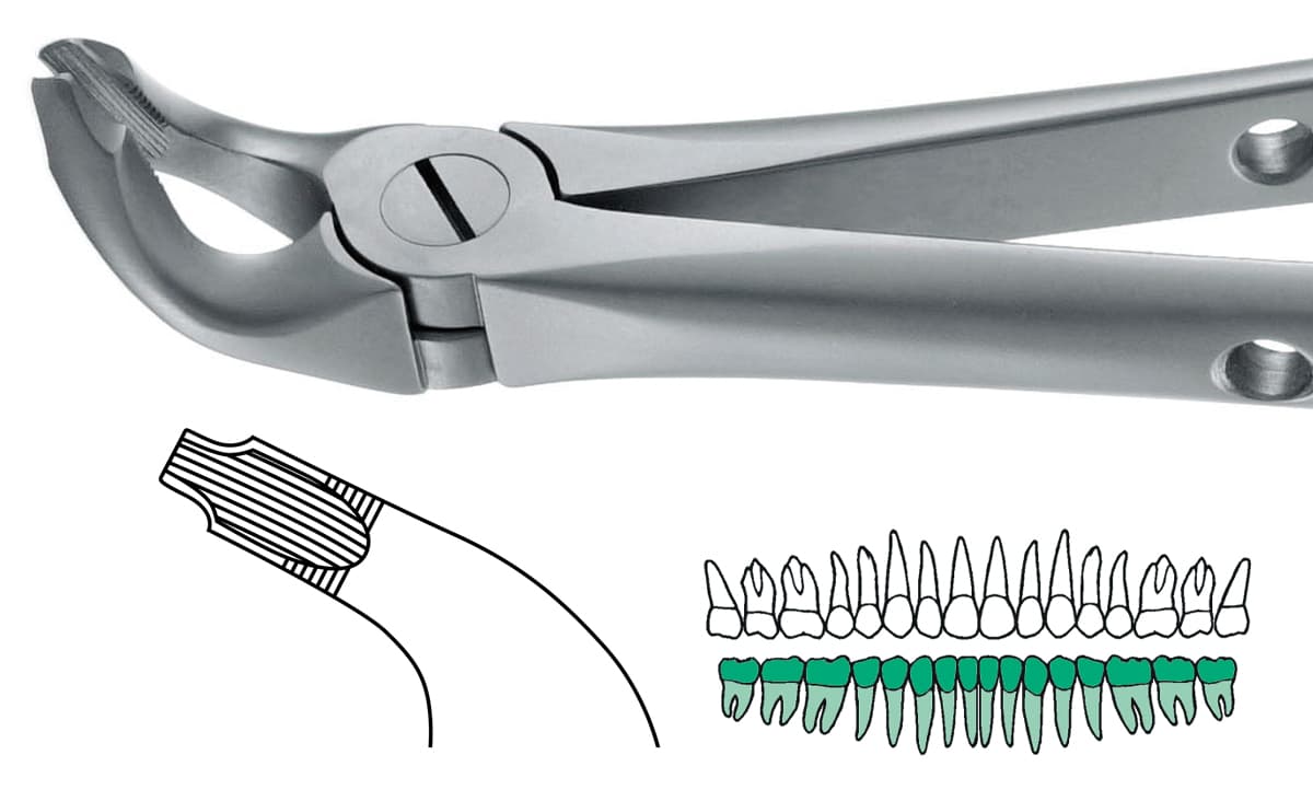 Salvin AtrauLux® Extraction Forcep #8 - Lower Universal