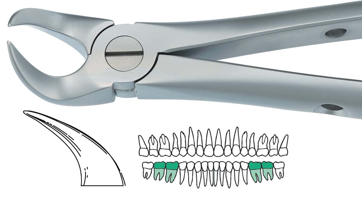Salvin Atraumatic Forcep - Cow Horn                                                                          