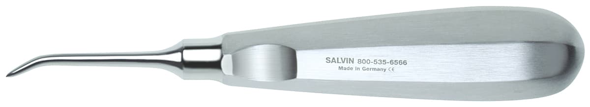 Salvin Cogswell Elevator        