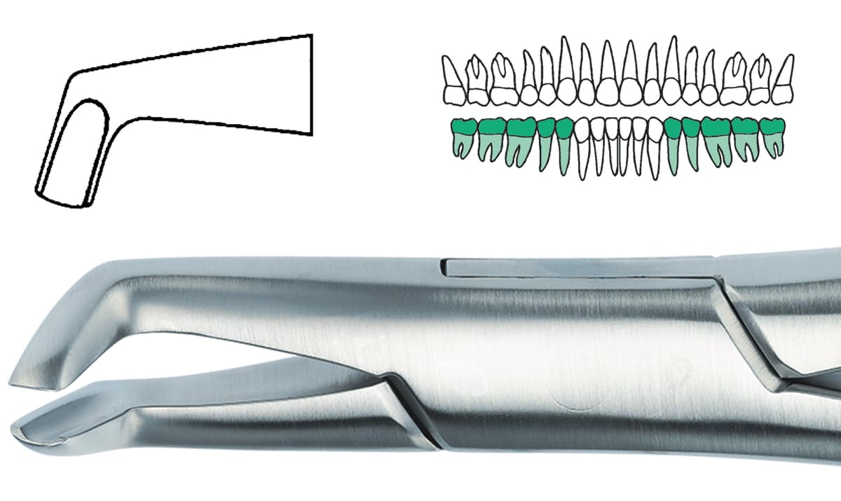 Salvin #222 Extraction Forceps