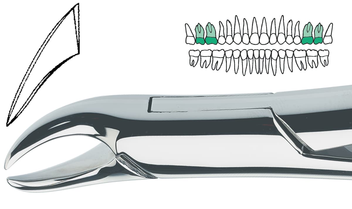 Salvin DEF 23 Upper Extraction Forcep