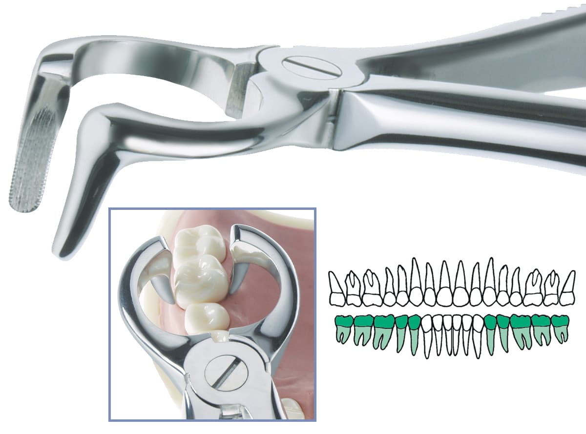 Salvin \"Wrap Around\" Forcep For Lower Roots                                                                