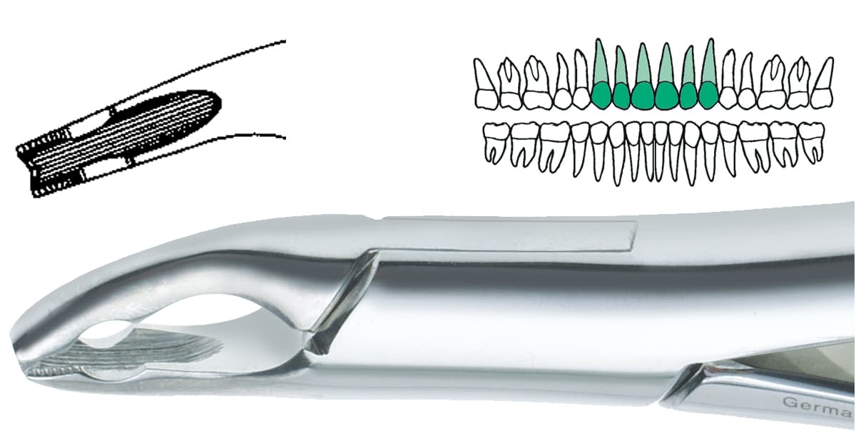 Salvin DEF 150AS German Stainless Steel Extraction Forcep