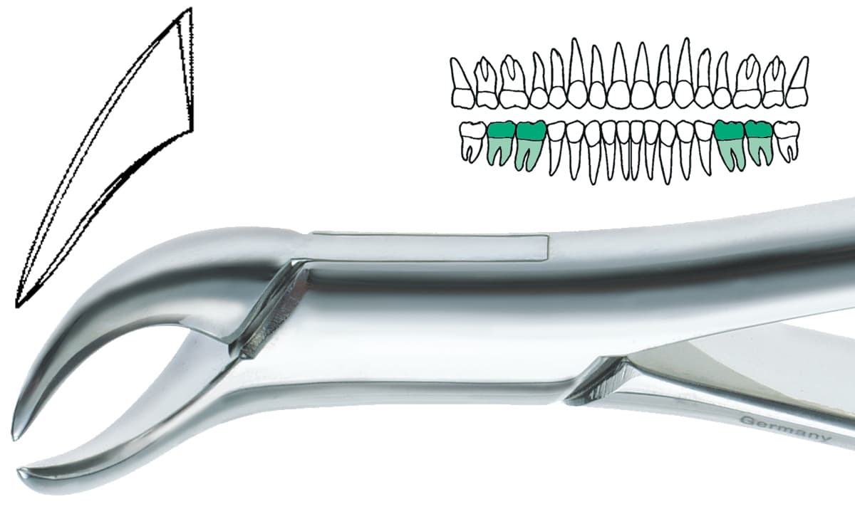 Salvin DEF 23 German Stainless Steel Extraction Forcep