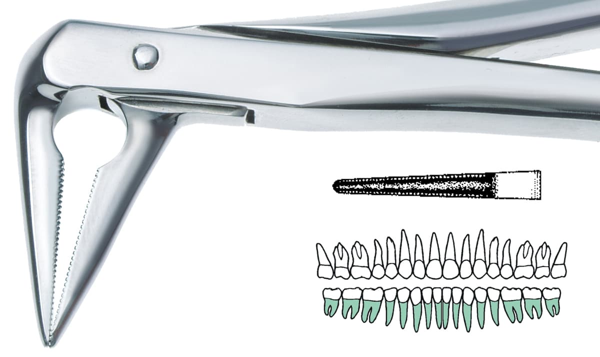Salvin DEF 859 Tungsten Carbide Tipped Root Tip Forcep