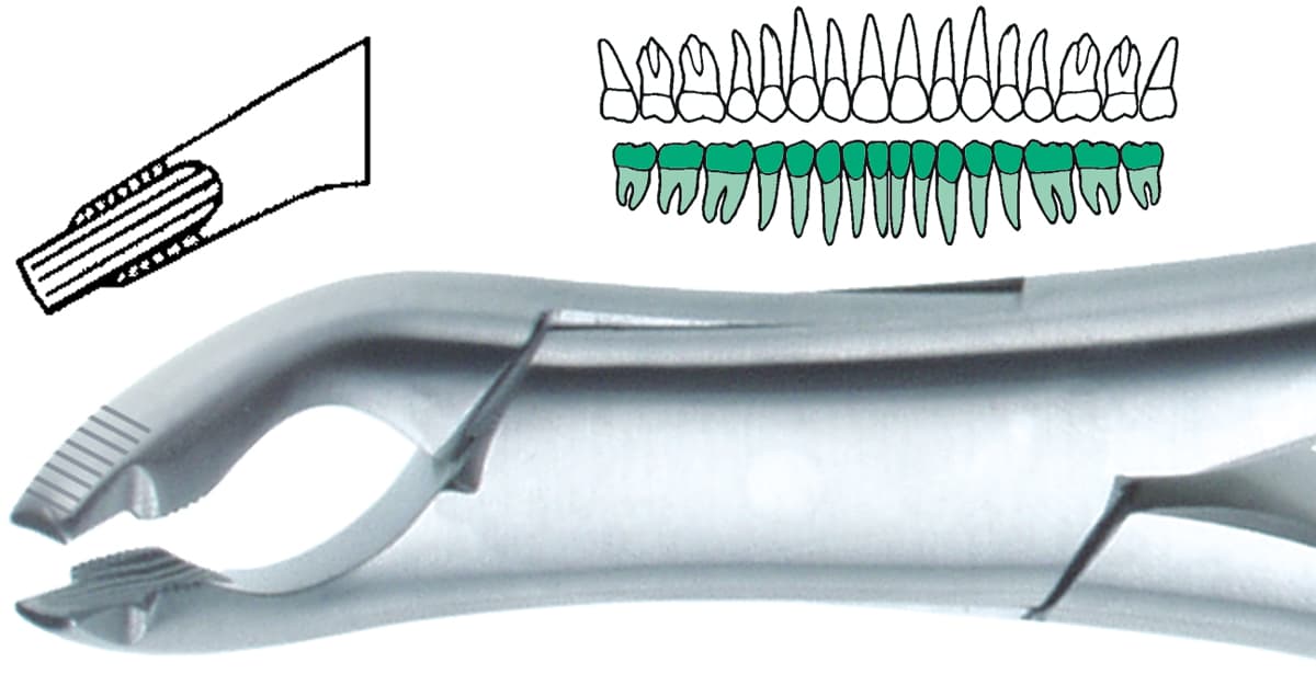 Salvin DGA-37 Deep Grip Extended Tip Length Serrated Extraction Forcep