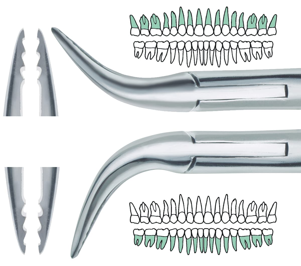 Set of 2 “Fish-Hook” Atraumatic Extraction Root Forceps