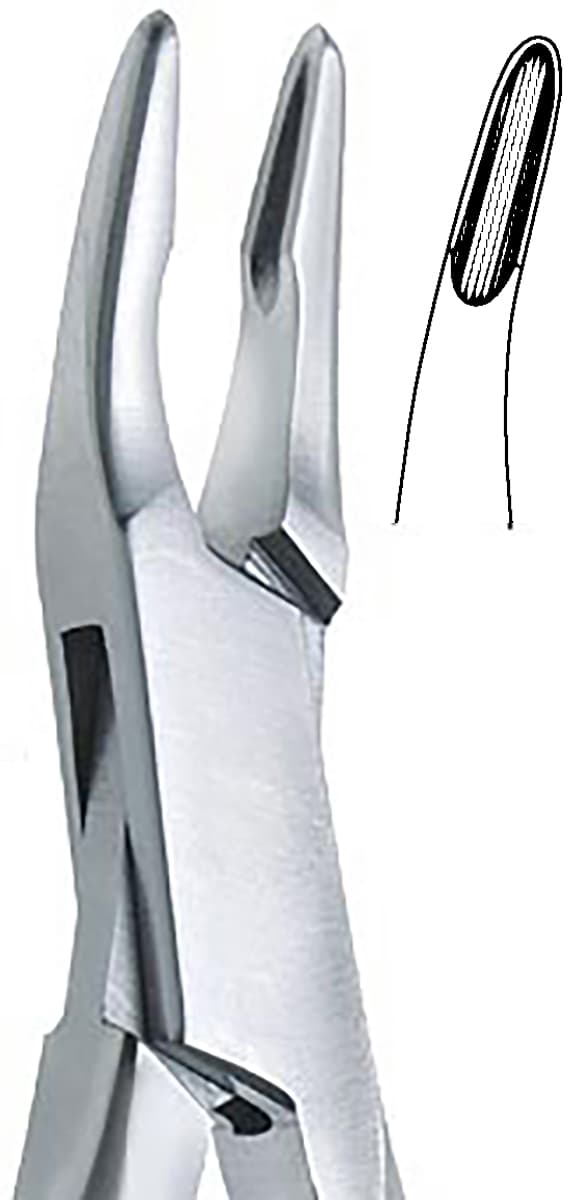 Salvin Friedman Rongeur