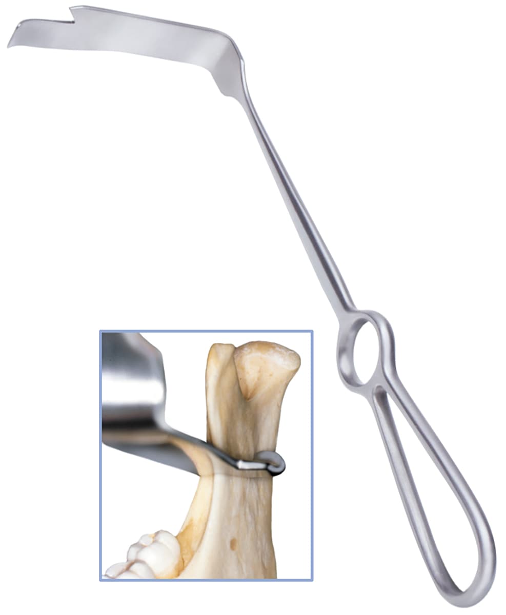 Salvin Misch Ramus Retractor - Right