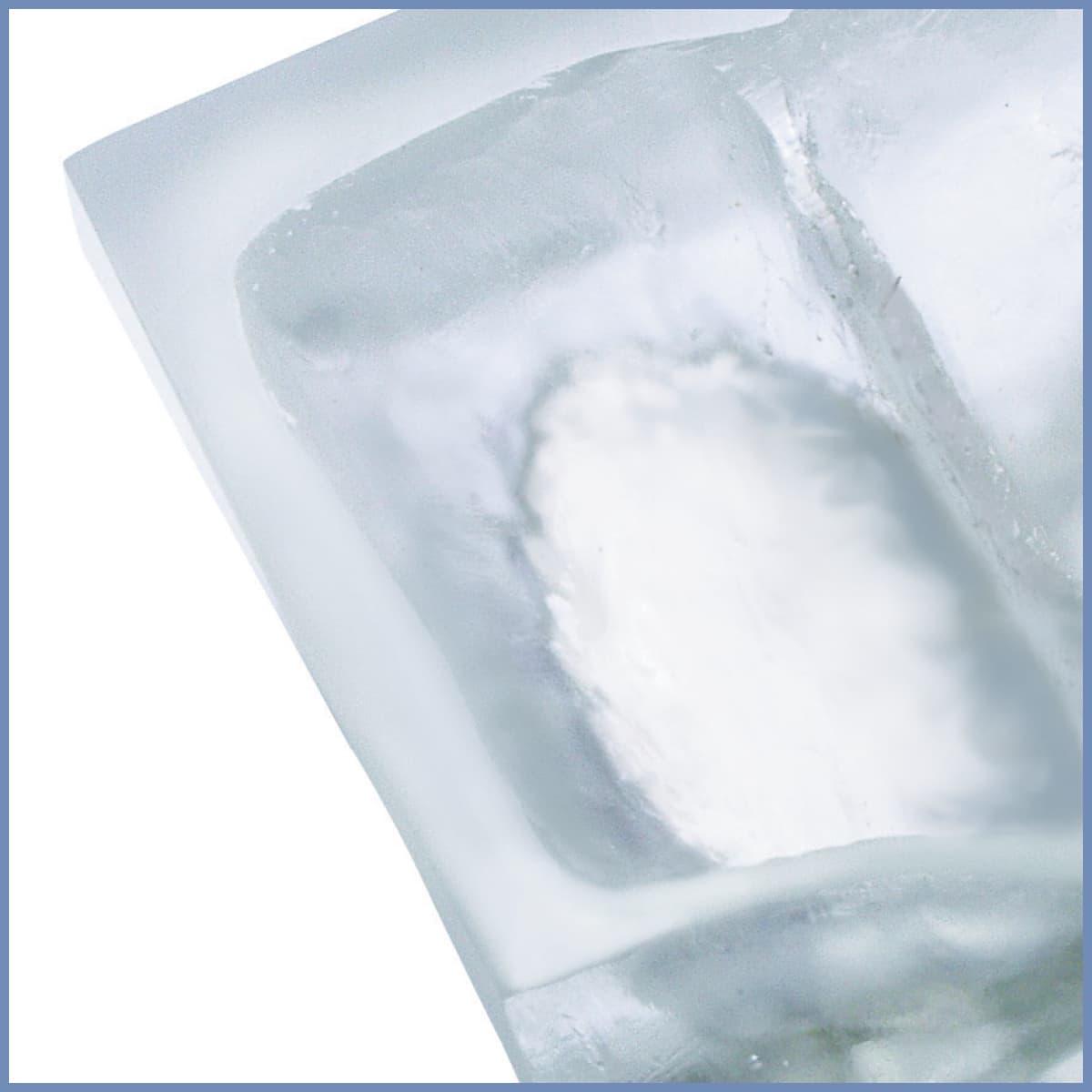 Clear Model Showing Sinus Graft