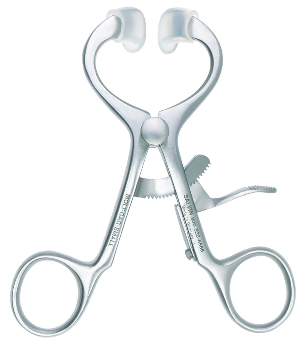 Molt Mouth Gag Small                                                                                         