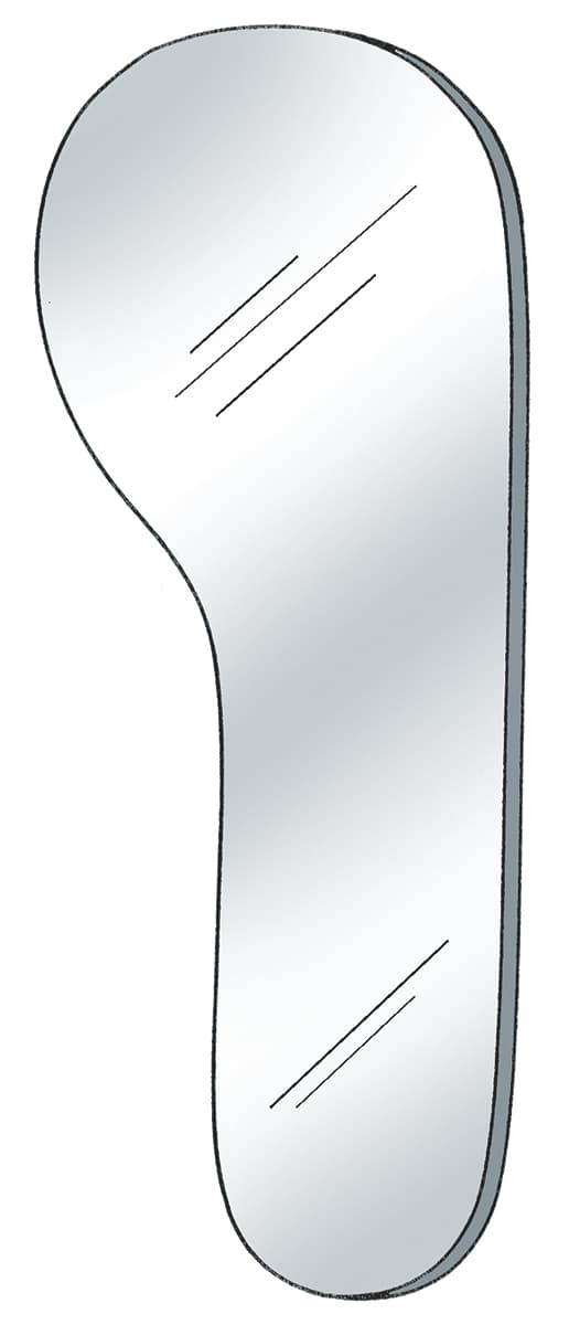 Salvin Photo Mirror Buccal