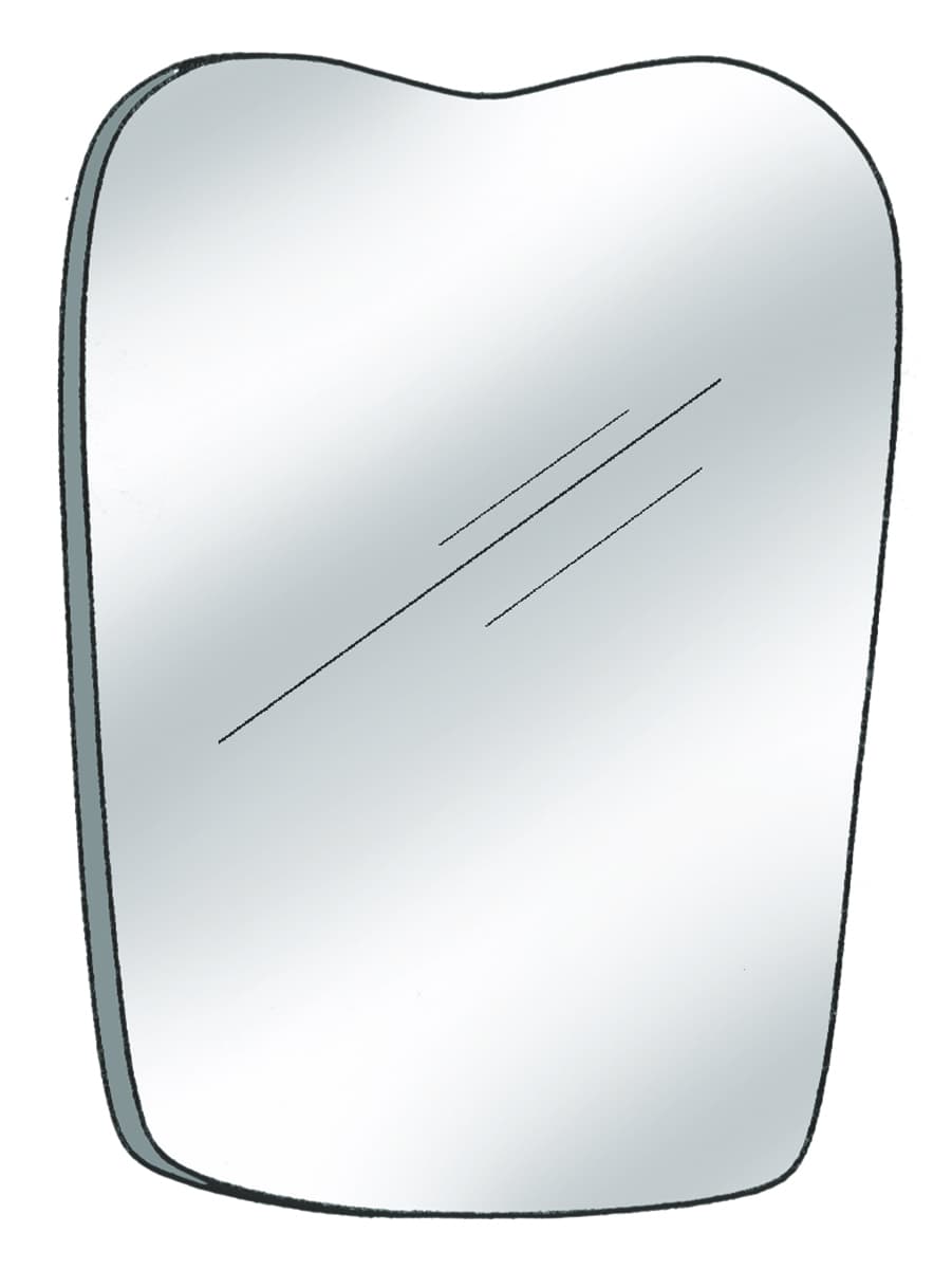 Salvin Photo Mirror Occlusal Pedo