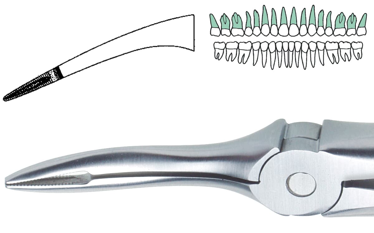 Salvin Root Tip Forceps - Upper                                                                              