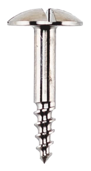 Salvin Titanium Tenting Screw