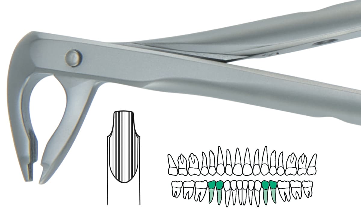 Salvin AtrauLux® Extraction Forcep #4 - Lower Pre Molar