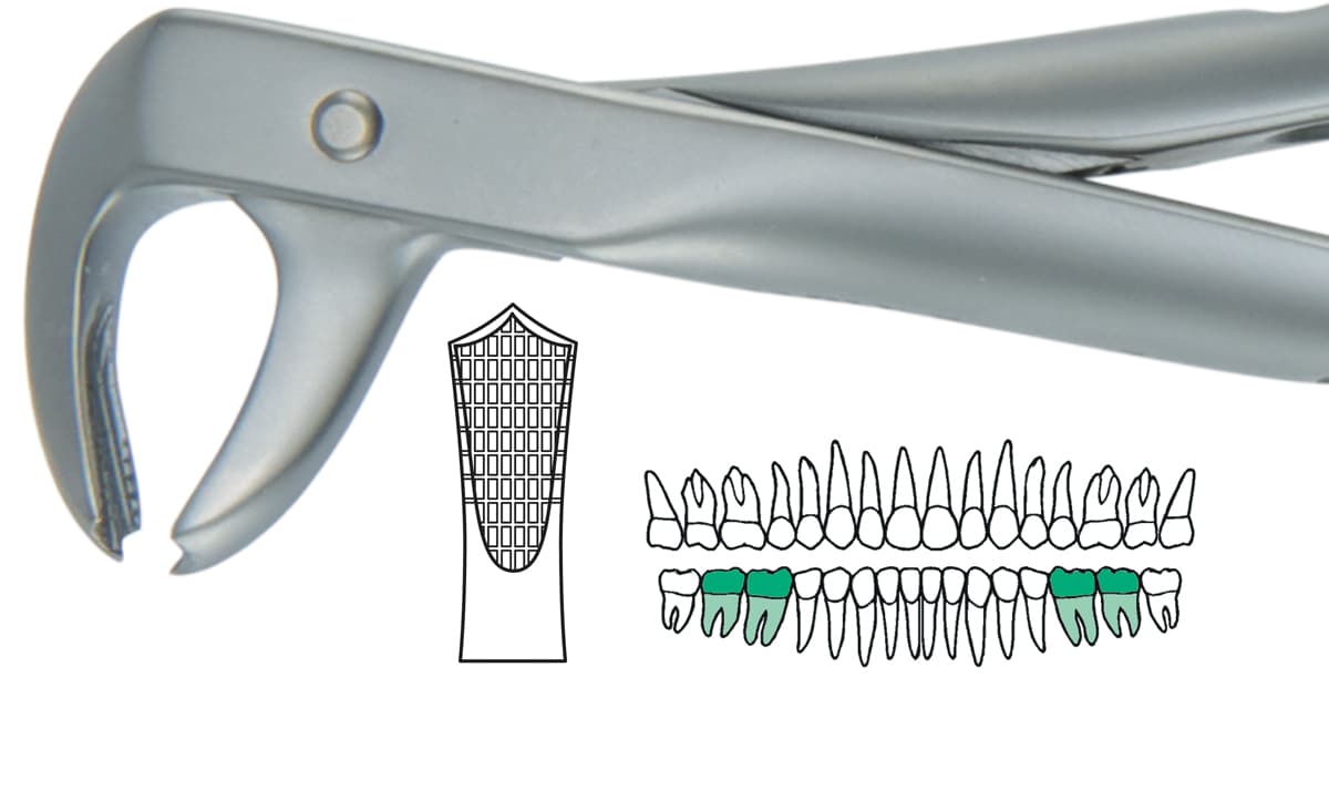 Salvin AtrauLux® Extraction Forcep #7 - Lower Molar