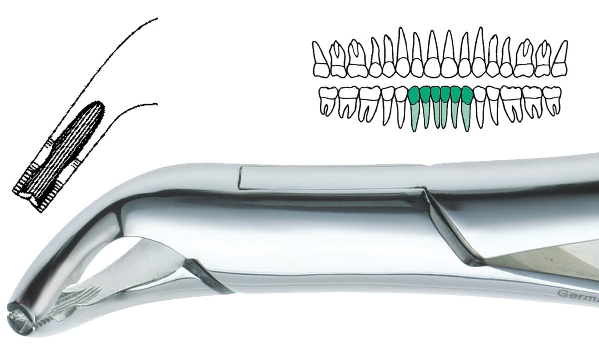 Salvin DEF 151AS German Stainless Steel Extraction Forcep