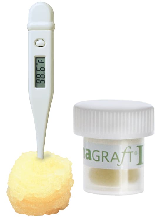 DynaGraft-D Bone Putty