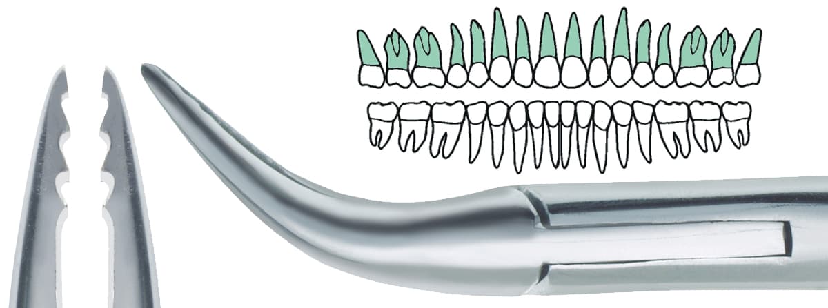 Salvin 45° Angled “Fish-Hook” Atraumatic Extraction Root Forcep