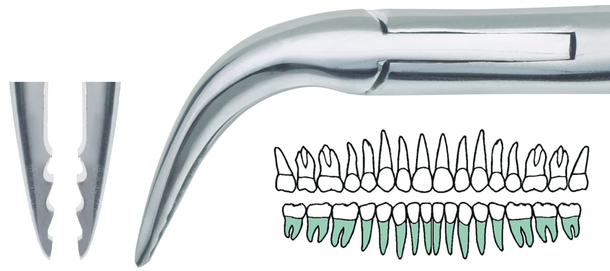 Salvin 90° Angled “Fish-Hook” Atraumatic Extraction Root Forcep